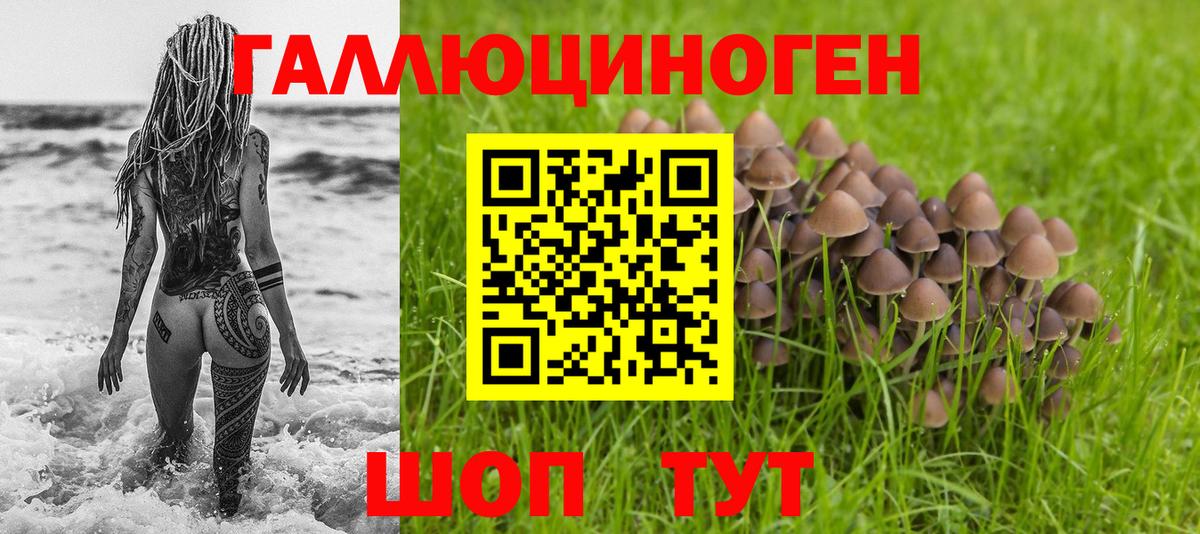 Псилоцибиновые грибы Cubensis Зеленокумск